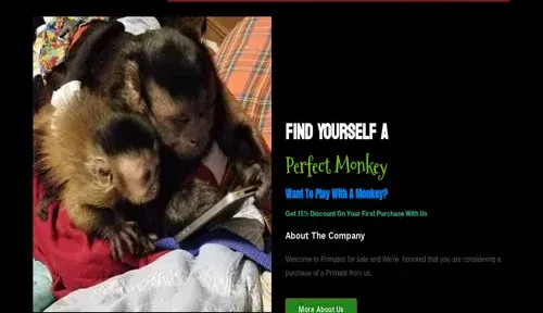 A screenshot of Genlanfamilystbernard.com