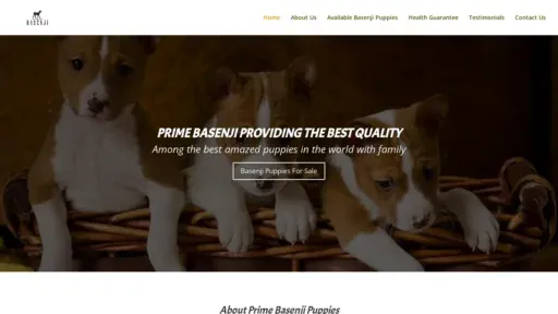 A screenshot of Primebasenjipuppies.com