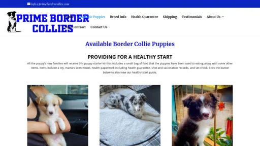 A screenshot of Primebordercollies.com