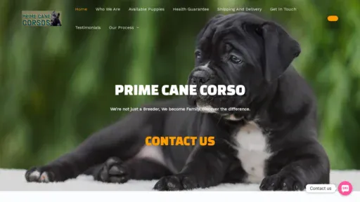 A screenshot of Primecanecorso.com