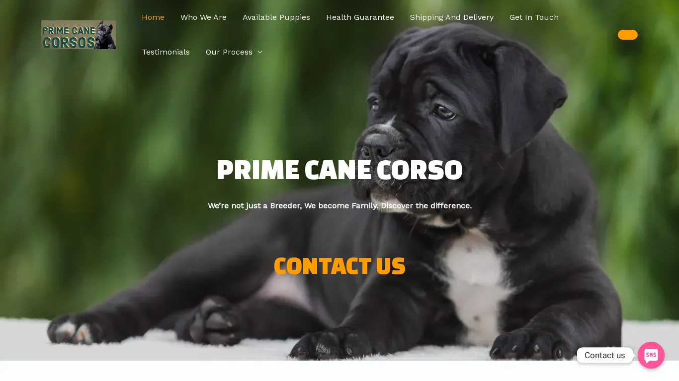 is primecanecorso.com legit? screenshot