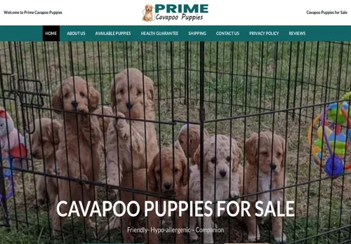is primecavapoopuppies.com legit? screenshot