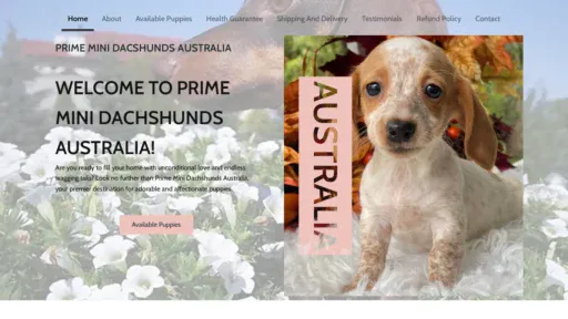 A screenshot of Primeminidacshundsaustralia.com