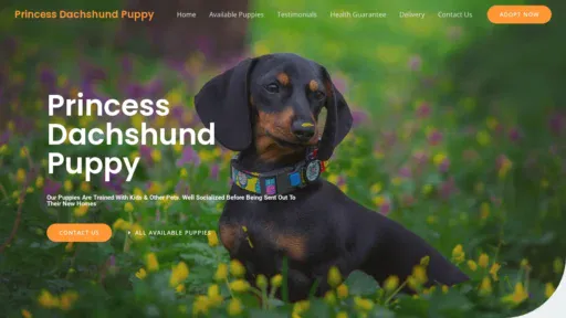 A screenshot of Princessdachshundpuppy.com
