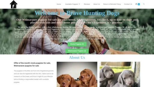 A screenshot of Prkzi.com