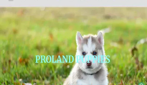 A screenshot of Genlanfamilystbernard.com
