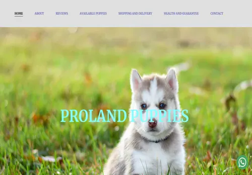 is prolandpuppies.co.za legit? screenshot