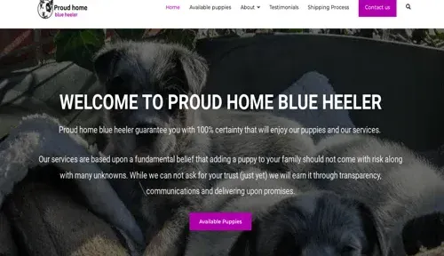 A screenshot of Genlanfamilystbernard.com