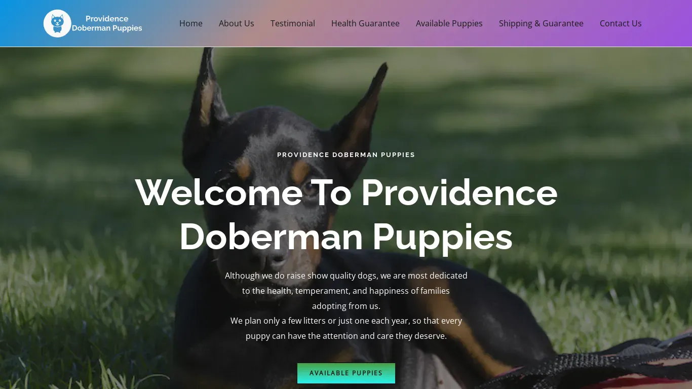 is providencedobermanpuppies.com legit? screenshot