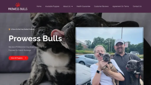A screenshot of Prowessbulls.com