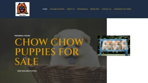 A screenshot of Prowesschows.com