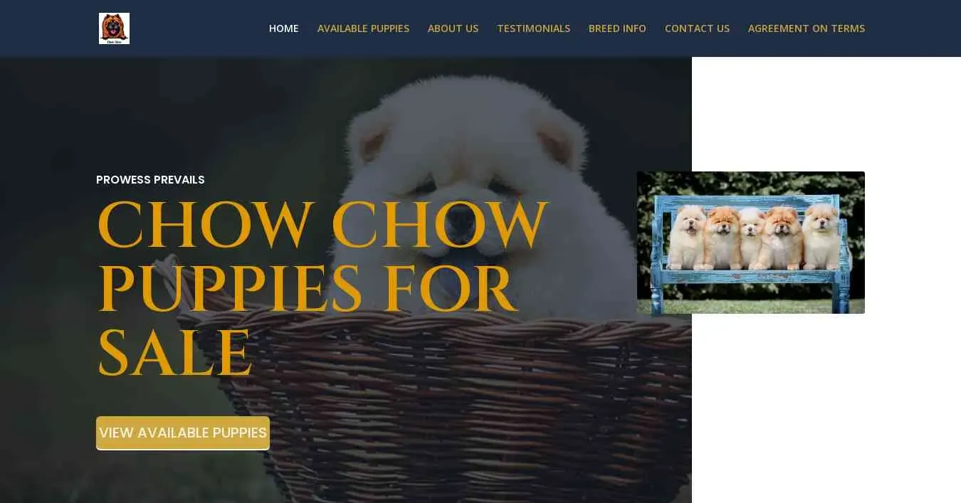 is prowessprevails.com legit? screenshot