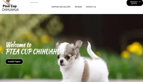 A screenshot of Genlanfamilystbernard.com