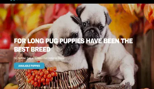 A screenshot of Genlanfamilystbernard.com