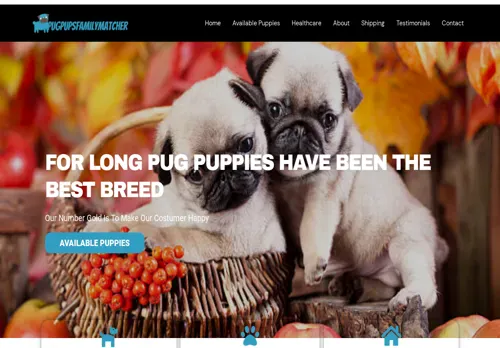 is pugpupsfamilymatcher.com legit? screenshot