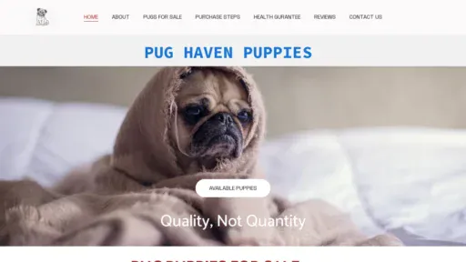 A screenshot of Pugshaven.com