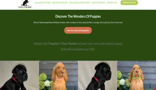 A screenshot of Genlanfamilystbernard.com