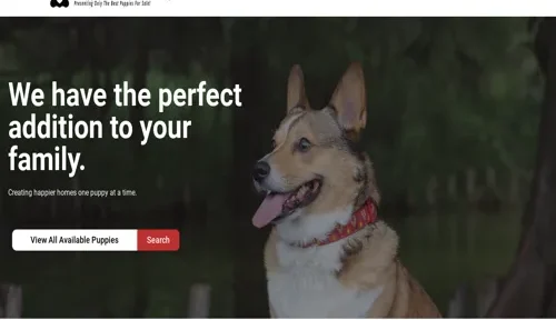 A screenshot of Genlanfamilystbernard.com