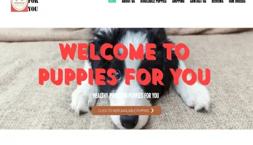 A screenshot of Genlanfamilystbernard.com