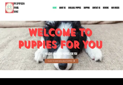 is puppiesforyou.co.za legit? screenshot