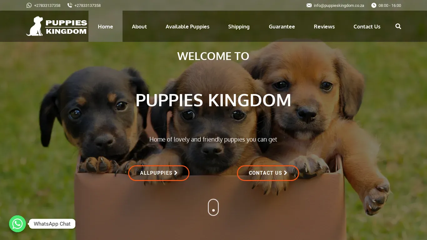 is puppieskingdom.co.za legit? screenshot