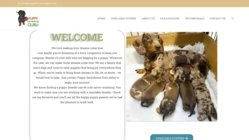 A screenshot of Puppydachshundguru.com