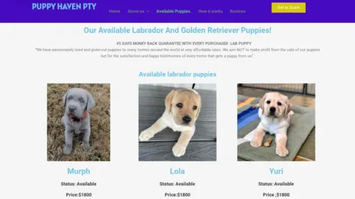 A screenshot of Puppyhavenpty.com