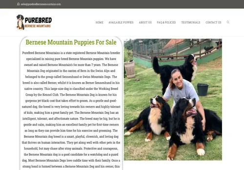 is purebredbernesemountains.com legit? screenshot