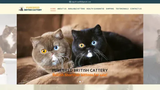 A screenshot of Purebredbritishcattery.com