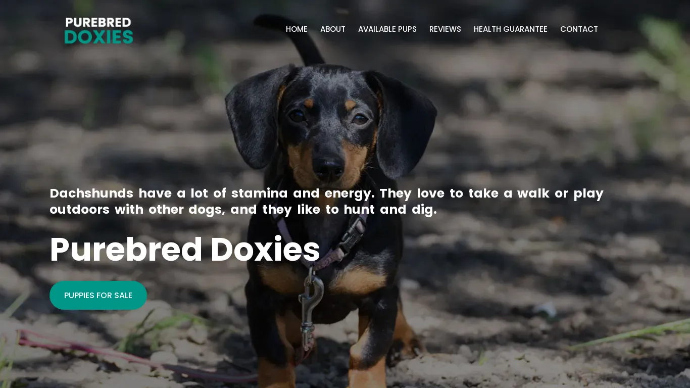 is purebreddoxies.com legit? screenshot