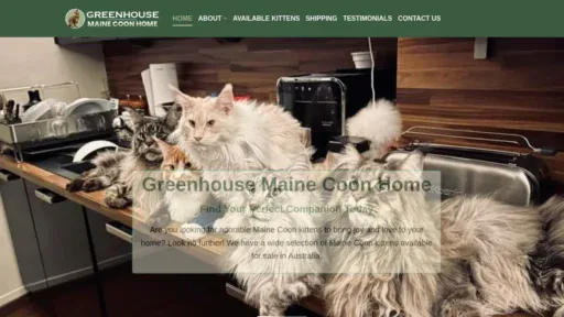 A screenshot of Purebredgiantcooncats.com