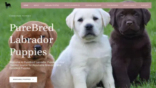 A screenshot of Purebredlabradorpups.com