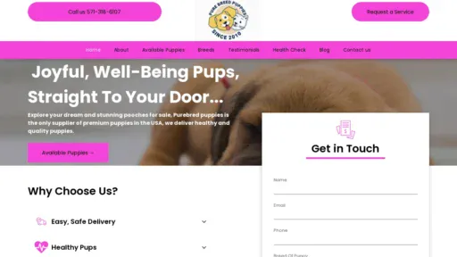 A screenshot of Purebreedspuppies.com