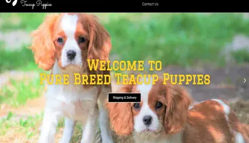 A screenshot of Genlanfamilystbernard.com
