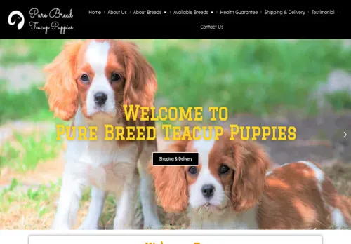 is purebreedteacuppuppies.com legit? screenshot