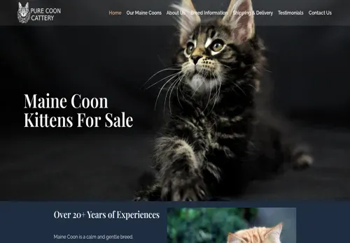 is purecooncattery.com legit? screenshot