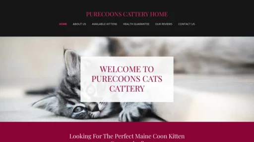 A screenshot of Purecoonscattery.com