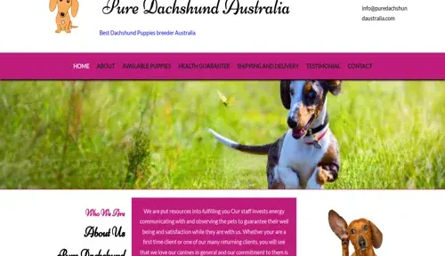 A screenshot of Genlanfamilystbernard.com