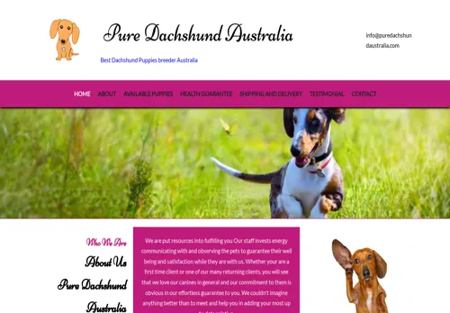 is puredachshundaustralia.com legit? screenshot