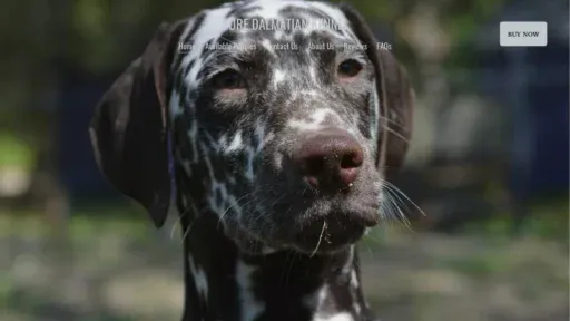 A screenshot of Puredalmatiankennel.com