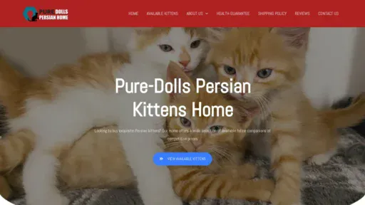A screenshot of Puredollspersiankittens.com