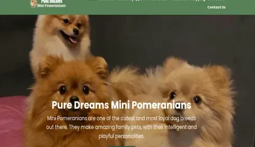 A screenshot of Genlanfamilystbernard.com