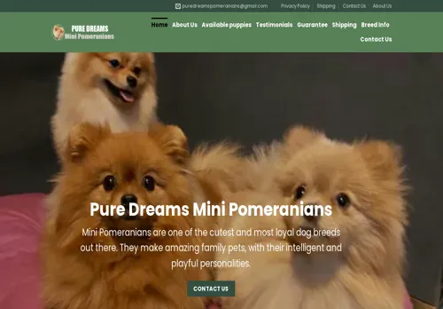 is puredreamsminipomeranians.com legit? screenshot