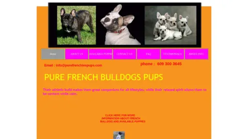 A screenshot of Purefrenchiespups.com