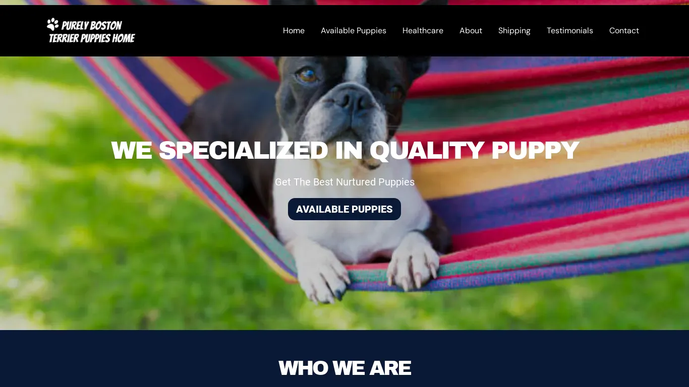 is purelybostonterrierpuppieshome.com – Astonishingbostonterrierpuppieshome.com legit? screenshot