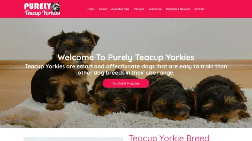 A screenshot of Purelyteacupyorkies.com