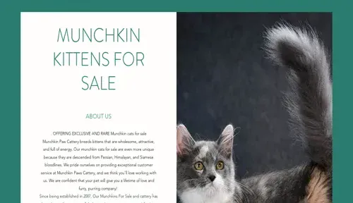 A screenshot of Genlanfamilystbernard.com