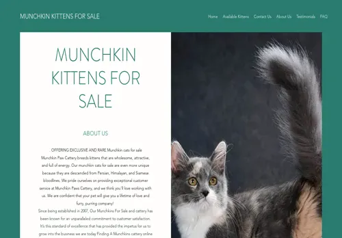 is puremunchkinkitten.com legit? screenshot
