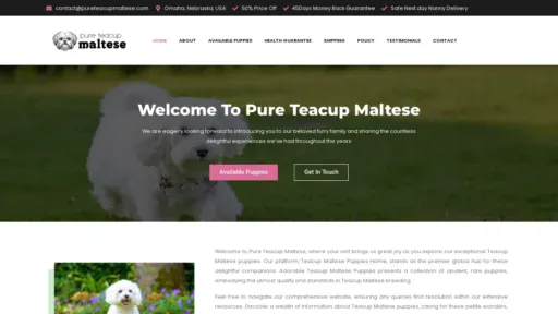 A screenshot of Pureteacupmaltese.com