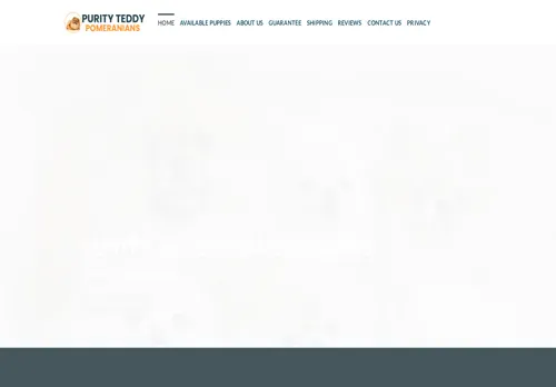 is purityteddypomeranians.com legit? screenshot